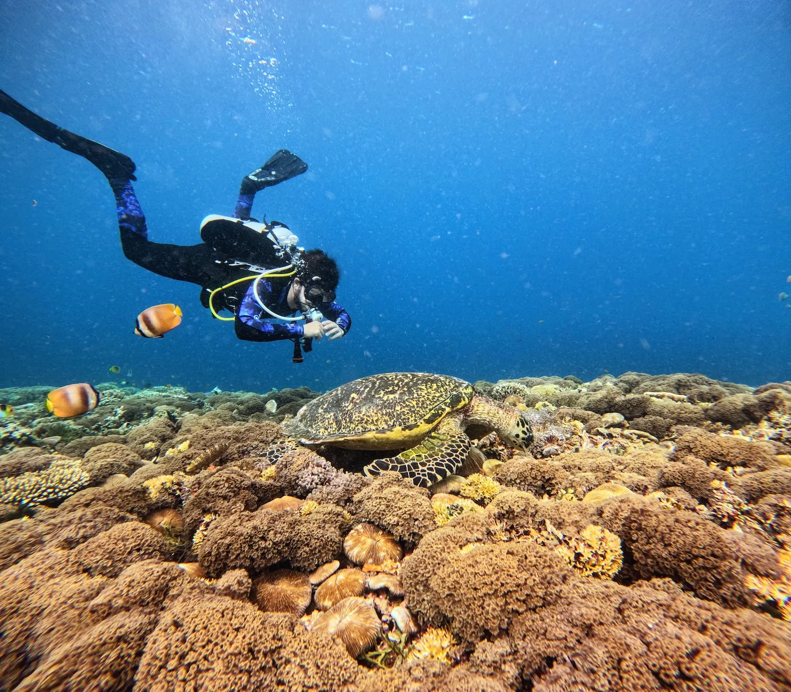 Héctor diving in Bali